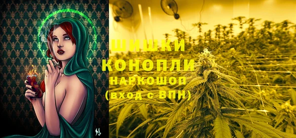 герыч Бородино