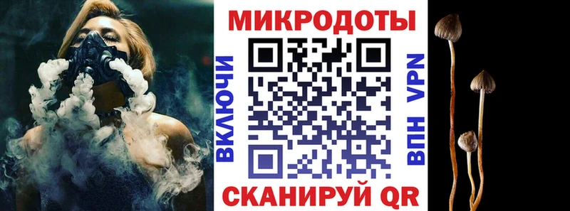 Купить Гороховец Псилоцибиновые грибы GOLDEN TEACHER